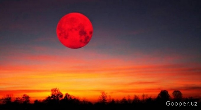 28-sentabrdagi Oy tutilishi qiyomat qoyimdan darak bermaydi — NASA