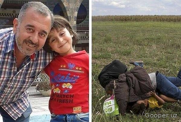 Vengriyalik jurnalist chalib yiqitgan kishi Suriyadagi futbol klubining sobiq murabbiyi bo'lib chiqdi