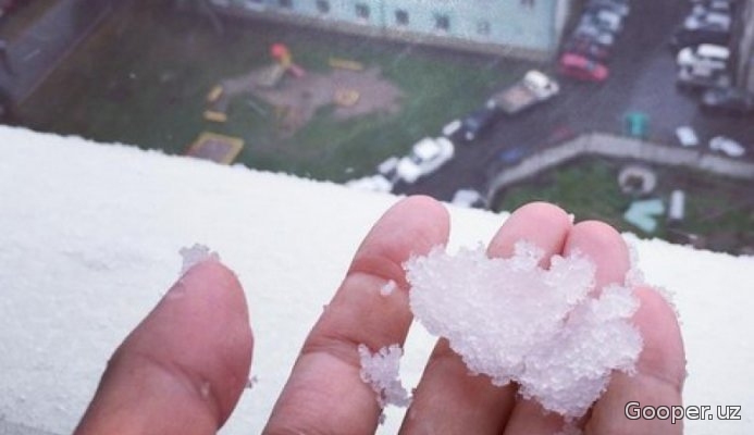 Sibirda birinchi qor yog'di