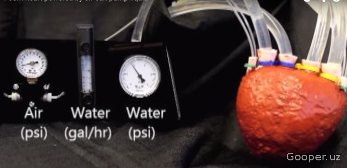 Dunyodagi eng kuchli sun’iy yurak ko‘pikdan tayyorlandi