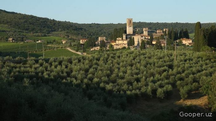 Ispaniyalik doktorni g'oyib bo'lganidan 20 yil o'tib, Italiya o'rmonidan topishdi