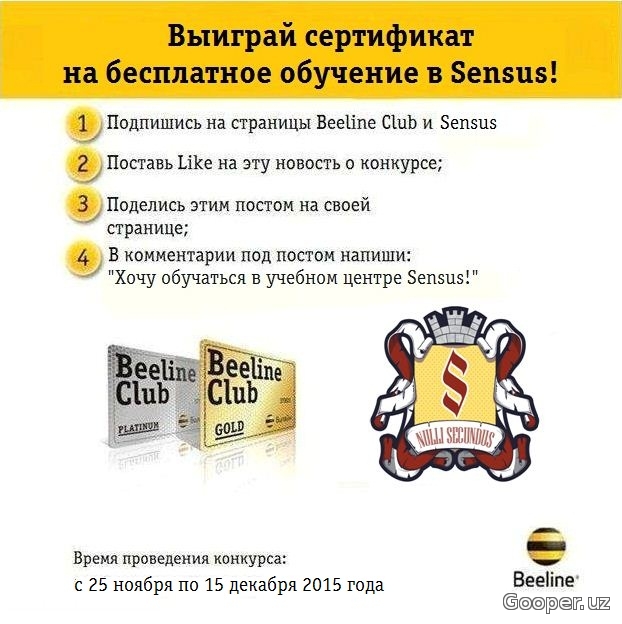 Страница билайн. Билайн клуб. Beeline Club 2.0. Билайн сервис обучение. Status Platinum Beeline.