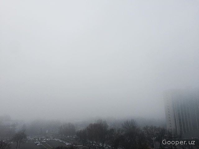 Toshkent tuman ostida (fotosuratlarda)