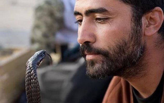 Hindistonlik yigit kobraga uylandi