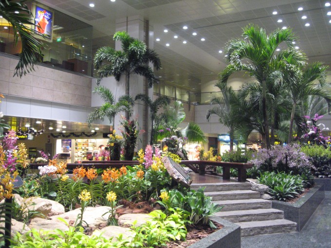 Dunyoning eng yaxshi aeroportlari e’lon qilindi