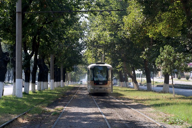 “Olmazor” metrosidan Sergeli dahasigacha tezyurar tramvay yo‘li quriladi