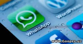 Yangi yil arafasida WhatsApp orqali 18 milliard xabar jo‘natildi