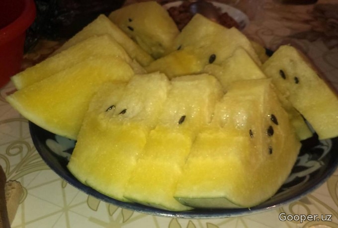 O‘zbekistonda sariq rangli tarvuz paydo bo‘ldi