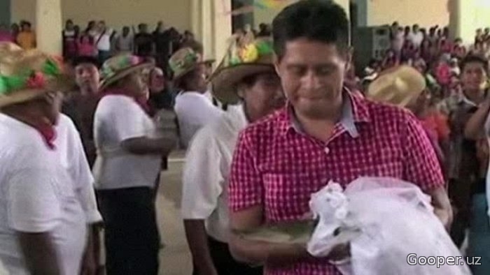 Meksikadagi shaharlardan birining meri ikkinchi bor timsohga uylandi