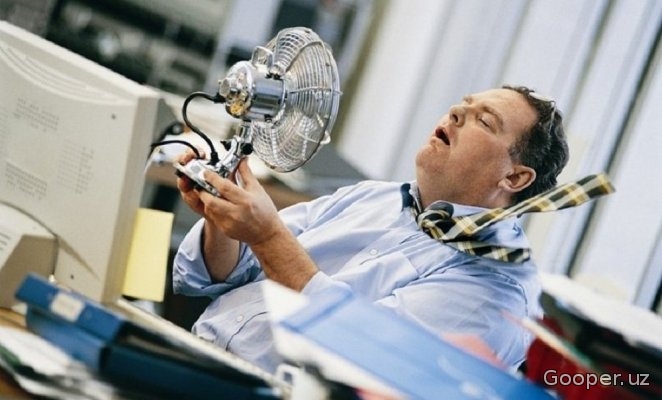 Mehnatni muhofaza qilish boshqarmasi: Qay darajadagi issiq haroratda ish vaqti qisqartiriladi?